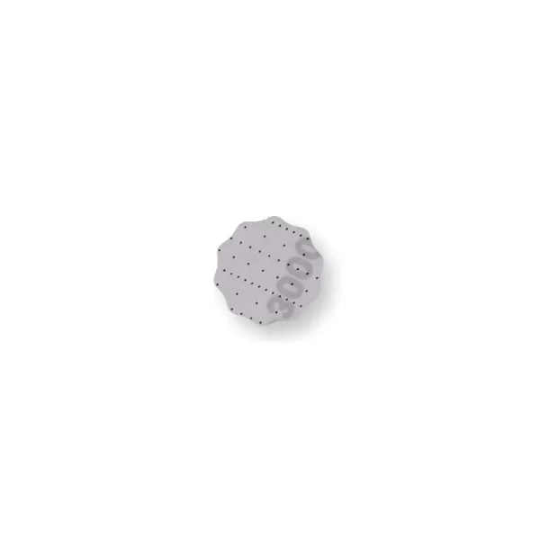 Estrella abrasiva velcro film Star Finish abrastar